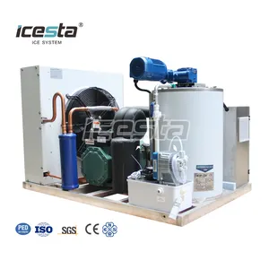 ICESTA personalizzato automatico ad alta produttività risparmio energetico lunga vita di servizio in acciaio inox 500kg fiocco macchina per il ghiaccio