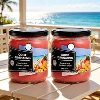 Bougie parfumée créative aux fruits tropicaux en cire de soja, sans fumée, pour la décoration de la maison et de la chambre