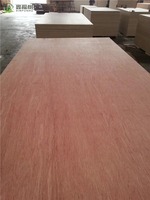 Contrachapado de Álamo Pre-Laminado de Alta Resistencia de 18 mm con Recubrimiento Fenólico E0, Tablero de Encofrado Reutilizable