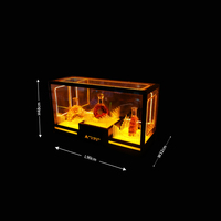 Présentateur de boissons de fête Cool Glorifier de bouteille acrylique élégante avec présentoir lumineux pour vin Champagne autres boissons