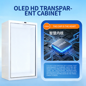 Sistema Interactivo de Holograma 3D Transparente Inteligente con Figura Humana <span class=keywords><strong>Virtual</strong></span> para Exhibiciones y Eventos Comerciales - Product Image 4