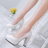 Chaussures pour femmes printemps-automne, talons épais, escarpins nude, pour boîtes de nuit, demoiselles d'honneur, tendances mariage