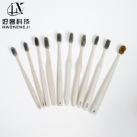 Brosse à dents de voyage biodégradable en paille de blé, à poils souples, jetable, pour hôtels et chambres d'hôtes (vente en gros)