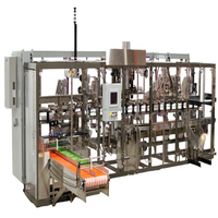 Machine de remplissage aseptique de lait, de jus et de boissons à haute productivité, personnalisable en usine, machine d'emballage flexible pour pailles à boire