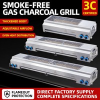 Grill à gaz sans fumée en acier inoxydable pour comptoir, machine à kebab mini professionnelle au GPL