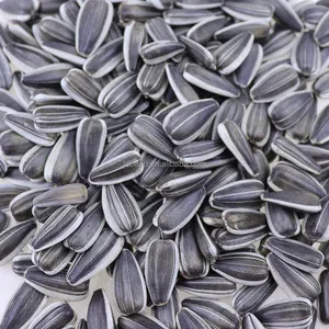 Semillas de girasol a granel de Mongolia Interior, semillas de girasol orgánicas para consumo humano