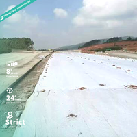 Géotextile non tissé en PET ShengYang 300g/m², résistance à la perforation CBR >2,5kN pour drainage souterrain et séparation sol-chaussée