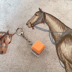 Khuyến mại Móc Chìa Khóa với các DIY hoặc <span class=keywords><strong>Led</strong></span> Bàn Phím Móc Chìa Khóa với tinh thần <span class=keywords><strong>Key</strong></span> nhựa acrylic nhiệt chuyển Móc Chìa Khóa tùy chỉnh - Product Image 6