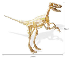 Juguetes de Dinosaurio Velociraptor Pequeño, Juguetes de Dinosaurio de Plástico PVC, Juguetes de <span class=keywords><strong>Esqueleto</strong></span> de Dinosaurio para Niños - Product Image 2