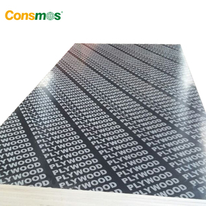 1220x2440mm 13 lớp phim phải đối mặt ván ép cho ván khuôn bê tông - Product Image 5