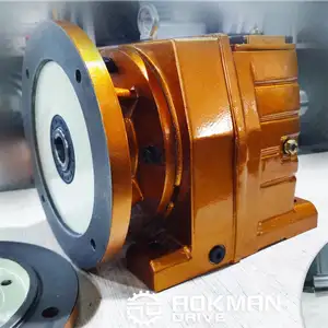R Series In-line Helical Gearmotor Speed Reducer Gearbox
