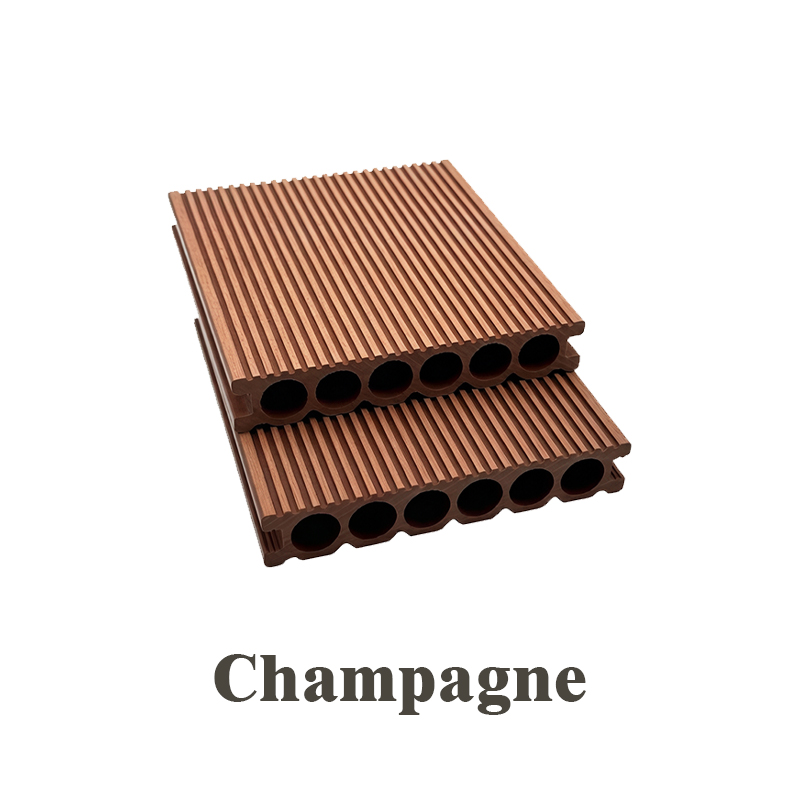 Campione di champagne da 15 cm