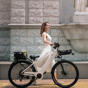 Bicicleta Eléctrica de Alta Gama con Motor de 250W, Batería de 36V 18Ah, Largo Alcance, Frenos de Disco Hidráulicos, Ideal para la Ciudad - Product Image 1