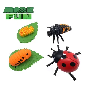 Morefun-modelo de insectos de simulación de PVC sólido, juguetes de animales de plástico, herramientas educativas de enseñanza, mariquita, juguetes de ciclo de vida