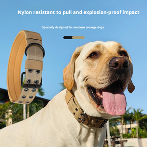 Collares para Mascotas Clásicos de Nailon Ajustables y Resistentes al por Mayor de China, <span class=keywords><strong>Collar</strong></span> <span class=keywords><strong>Martingale</strong></span> para Perros para Pasear, Trotar y Entrenar - Product Image 1