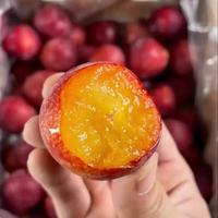 Kersenpruim Verse Geïmporteerde Chileense Zoete Variëteit Fruit Pure Zoetheid In Elke Hap