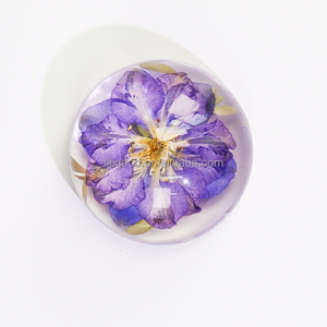 Espécimen de resina Planta Espécimen Decoración Artesanía Rectángulo personalizado Resina transparente Flor Planta Pisapapeles - Product Image 2