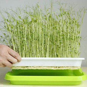 Plateau de Germination des graines <span class=keywords><strong>avec</strong></span> trous de drainage plateaux de croissance <span class=keywords><strong>à</strong></span> Double étage pour les plantes d'intérieur et de jardin - Product Image 5