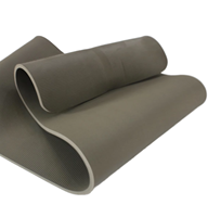 Tapis de yoga TPE double couche, 6 mm, insonorisant, à rebond élevé, antidérapant, durable, pour entraînement en intérieur