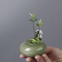 Pot Bunga Keramik Lapisan Glaze Motif Retak Es Kecil dengan Lubang Drainase untuk Sukulen, Tanaman Hijau, Bambu Podocarpus - Gaya Cina