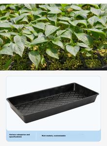 Groothandel Hard Plastic Rijst Zaailing <span class=keywords><strong>Tray</strong></span> Padie Kwekerij Zaailing Lade Voor Rijst Transp - Product Image 6