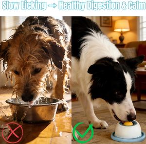 Nuovo Giocattolo Interattivo 2026 per Addestramento Cani: Palla Rotante Anti-Ansia, Ciotola Lenta per la Nutrizione, Piatto per Lick-Off e Dispenser di Cibo per Cani - Product Image 6