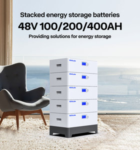 Bullcube แบตเตอรี่10KW 5KW 24 V 48 V 50ah พลังงานแสงอาทิตย์400ah 200ah แบตเตอรี่ลิเธียมติดผนัง24โวลต์ QL-12100เพาเวอร์ (48-PW) 48โวลต์ Po - Product Image 5