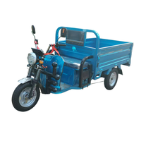 Triciclo de Carga Eléctrico Personalizado de Tres Ruedas con Carrocería Abierta, Motor sin Escobillas, Frenos de Disco Delanteros/Freno de Tambor Trasero, Capacidad de Carga de 100-200 kg, Alcance de 90 km