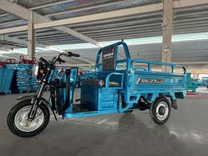 Tricyclecra Motos à <span class=keywords><strong>3</strong></span> <span class=keywords><strong>roues</strong></span> d'occasion à <span class=keywords><strong>vendre</strong></span> Pickup Truck Cargo 2024 Adultes - Product Image 4