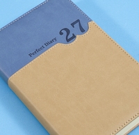 Agenda 2027 - Version anglaise - Gestion interne du plan de pages - Carnet de notes quotidien de 365 jours avec une page par jour