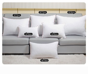 KHÁCH SẠN vuông đệm bên trong tùy chỉnh kích thước ném Gối chèn mềm đầy đặn đệm miếng đệm trắng trang trí sofa gối đệm - Product Image 6