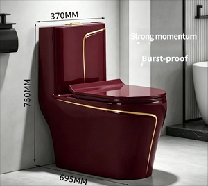 <span class=keywords><strong>WC</strong></span> in Ceramica con Sifone a Doppio Scarico, Serbatoio Nascosto, a Risparmio Idrico, Eco-Friendly, Montaggio a Pavimento, per Esterni, con Foro Curvo 300mm - Product Image 2
