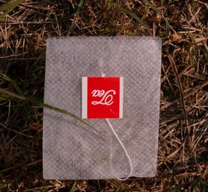 โรงงานไป่ซุน ผลิตถุงชา PLA แบบไม่ทอ เกรดอาหาร 25GSM ปิดผนึกด้วยความร้อน ใช้แล้วทิ้ง พร้อมตัวเลือกโลโก้แบบกำหนดเอง - Product Image 2