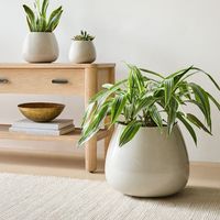 Ensemble de pot de fleurs en céramique noir mat et de support pour plantes de style mid-century, grand pot de fleurs d'intérieur, pot de fleurs en céramique blanche