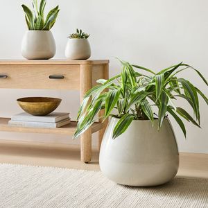Ensemble <span class=keywords><strong>de</strong></span> <span class=keywords><strong>pot</strong></span> <span class=keywords><strong>de</strong></span> fleurs en céramique noir mat et <span class=keywords><strong>de</strong></span> support pour plantes <span class=keywords><strong>de</strong></span> style mid-century, grand <span class=keywords><strong>pot</strong></span> <span class=keywords><strong>de</strong></span> fleurs d'intérieur, <span class=keywords><strong>pot</strong></span> <span class=keywords><strong>de</strong></span> fleurs en céramique blanche - Product Image 3