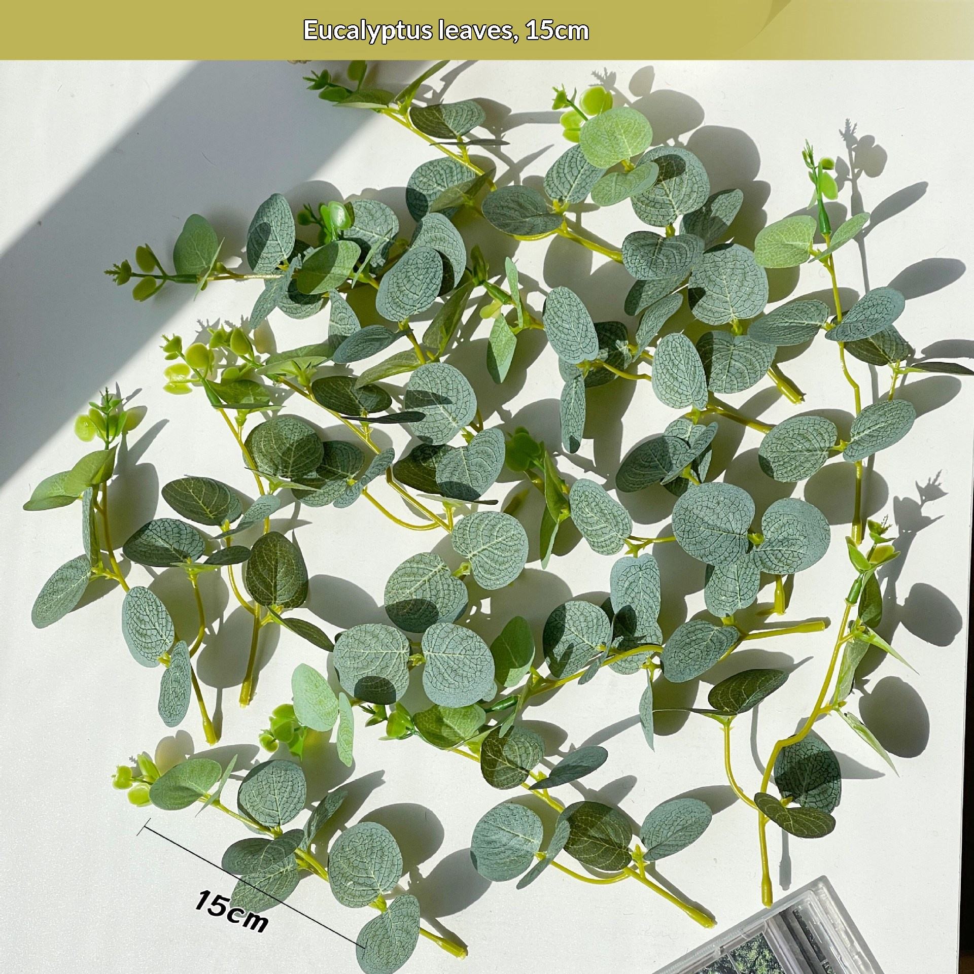 (15 ดอก) ใบยูคาลิปตัส