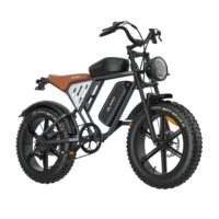 Vélo Électrique Fatbike X70 en Carbone et Alliage, Pneus Gonflables 20 Pouces, 48V 37Ah, Style Vintage, Disponible depuis l'Entrepôt Allemagne (UE)