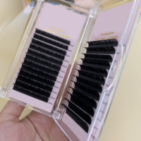 Ekstensi bulu mata Volume klasik nampan C D Curl bulu mata hitam Matte Label pribadi bulu mata individu profesional