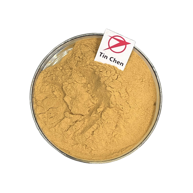 Bulk Stock Green Tea Leaf Extract Green Tea Extract Catechins Green Tea Extract