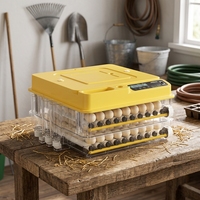 Pour WONEGG, incubateur thermostat intelligent automatique de haute qualité TW118 avec contrôleur de température et d'humidité, taux d'éclosion élevé