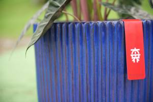 Juego de Macetas de Cerámica Estilo Americano, Color Azul Cobalto Brillante, Textura Acanalada Vertical, Ecológicas, con Orificios de Drenaje, para Interiores - Product Image 6