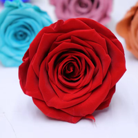 Bunga Mawar Asli Awetan Grade A 5-6cm Grosir untuk Dekorasi DIY Hari Valentine & Natal