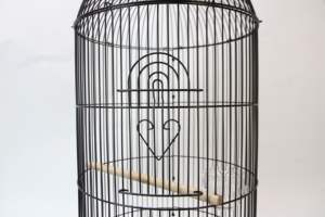 Özel taşınabilir açık küçük ve orta ölçekli lüks papağan görüntüleme kuş kafesleri metal kuş kafesi fabrika fiyat indirim - Product Image 5