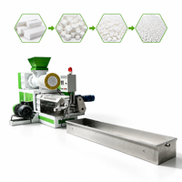 Machine de granulation de mousse EPS certifiée CE à livraison rapide, petite ligne de pelletisation pour la vente d'EPS