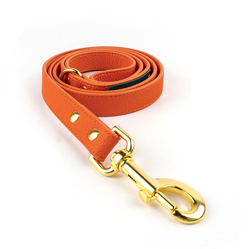 สายจูงสีส้ม