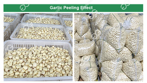 Tỏi Breaking Máy/Tỏi Tách Máy/Tỏi Máy Chế Biến - Product Image 6