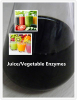 Beste prijs fruit-/groentesap multi-enzym leverancier in China