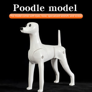 מודל שלד לכלב פודל סטנדרטי, בגודל מלא, לתרגול טיפוח חיות מחמד, כולל שיער סימולציה. - Product Image 2