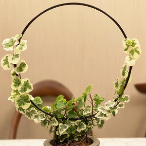 植木鉢 & プランター用金属製クライミングフレームラックサポートフレーム庭 & 屋内用多用途スタンド - Product Image 5