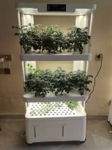 Système de culture intelligent d'<span class=keywords><strong>intérieur</strong></span>, système de culture hydroponique, pot de fleurs, kit de jardinage à domicile, éclairage <span class=keywords><strong>LED</strong></span> pour plantes, jardinières avec capteur - Product Image 5